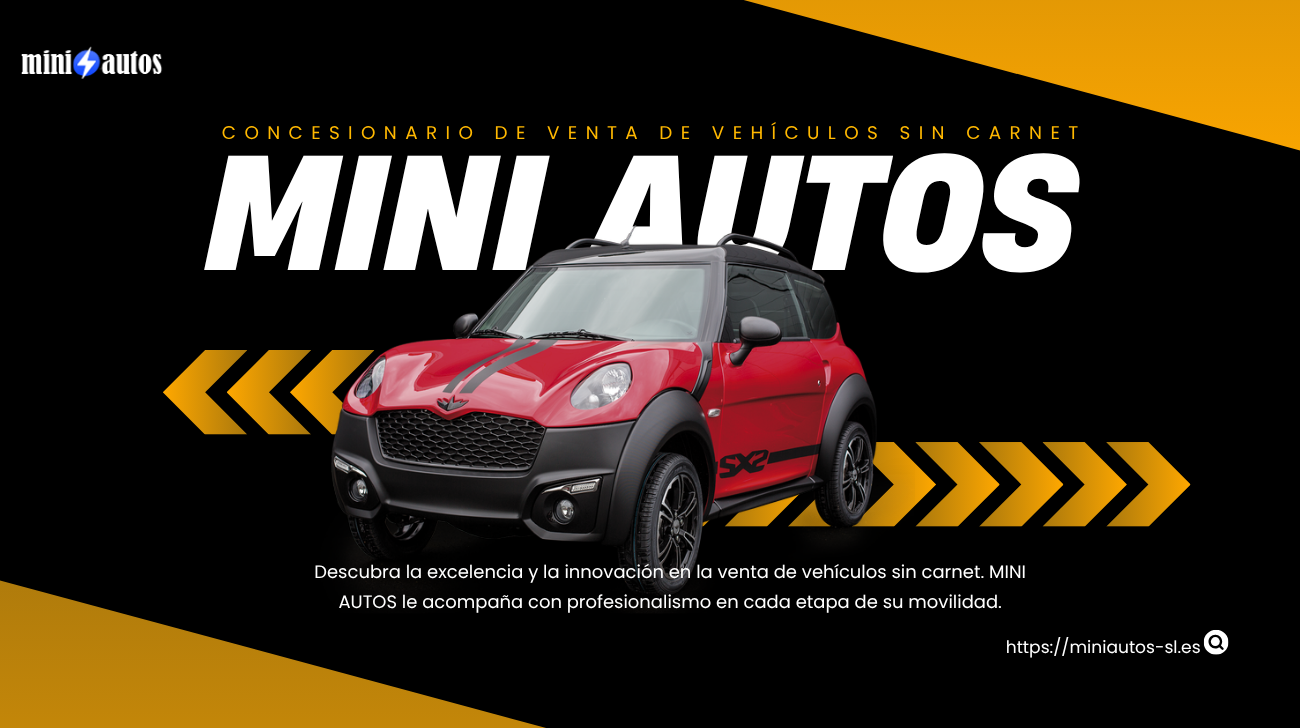 CONCESIONARIO DE VENTA DE VEHÍCULOS SIN CARNET